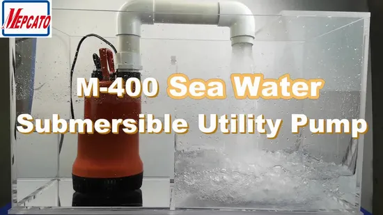 400W Large Flow Utility Non-Clogging Sea Water Supply Fish Farm Fishponds Circulation Plastic Centrifugal Submersible Water Pump with Float Switch
