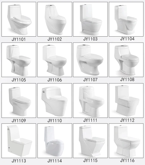 Wc India Upflush Tolet WC monopezzo con sedile e bidet
