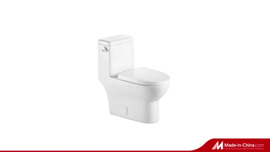 WC a pavimento all'ingrosso Design moderno S Sifone Sciacquone WC monopezzo WC a filo