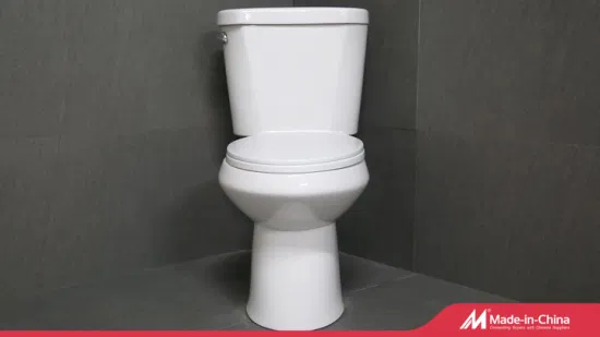 Sanitari in Cina I 10 migliori marchi Guangzhou Upflush Made Set WC Sit